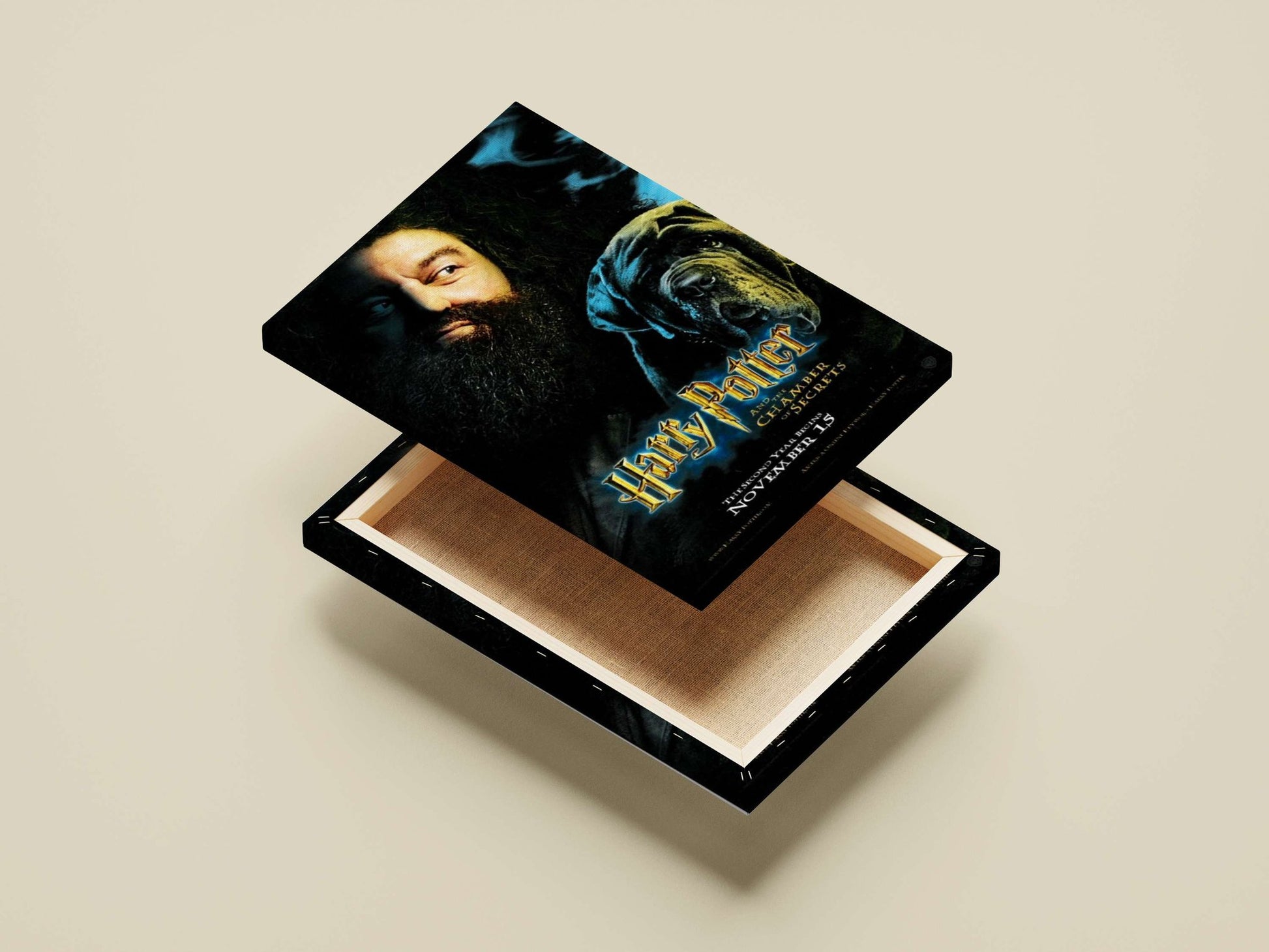 Harry Potter and the Chamber of Secrets Main Subject: Harry Potter and the Chamber of Secrets Canvas wall art — Anime wall