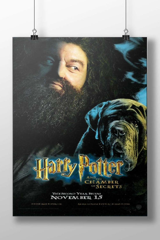 Harry Potter and the Chamber of Secrets Main Subject: Harry Potter and the Chamber of Secrets Matte BoizzBoard rigid print —