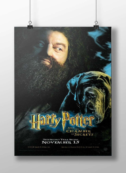 Harry Potter and the Chamber of Secrets Main Subject: Harry Potter and the Chamber of Secrets Matte BoizzBoard rigid print —