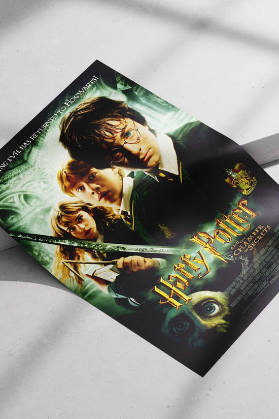 Harry Potter and the Chamber of Secrets (Harry Potter franchise) Main Subject: Harry Potter and the Chamber of Secrets