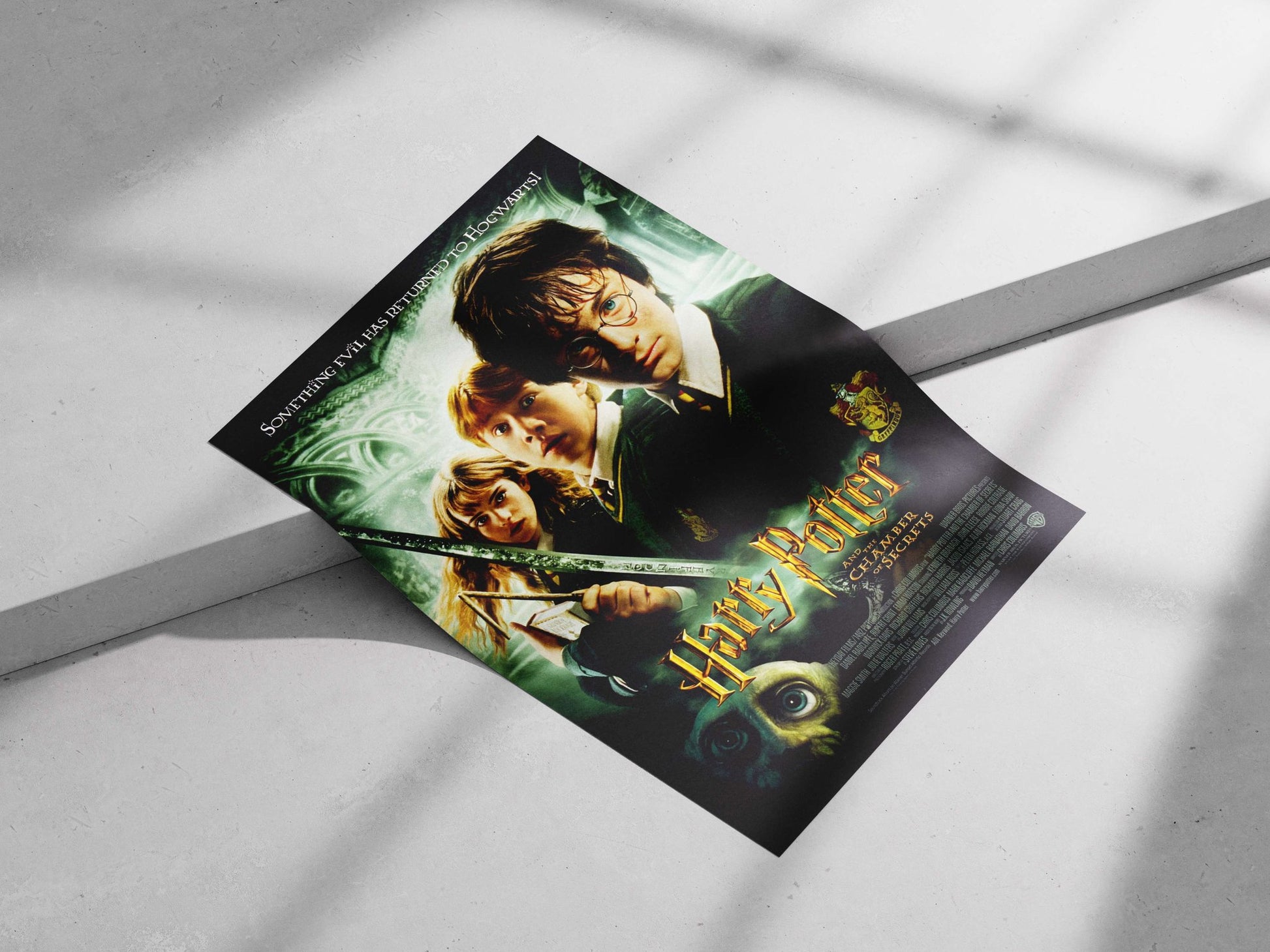 Harry Potter and the Chamber of Secrets (Harry Potter franchise) Main Subject: Harry Potter and the Chamber of Secrets