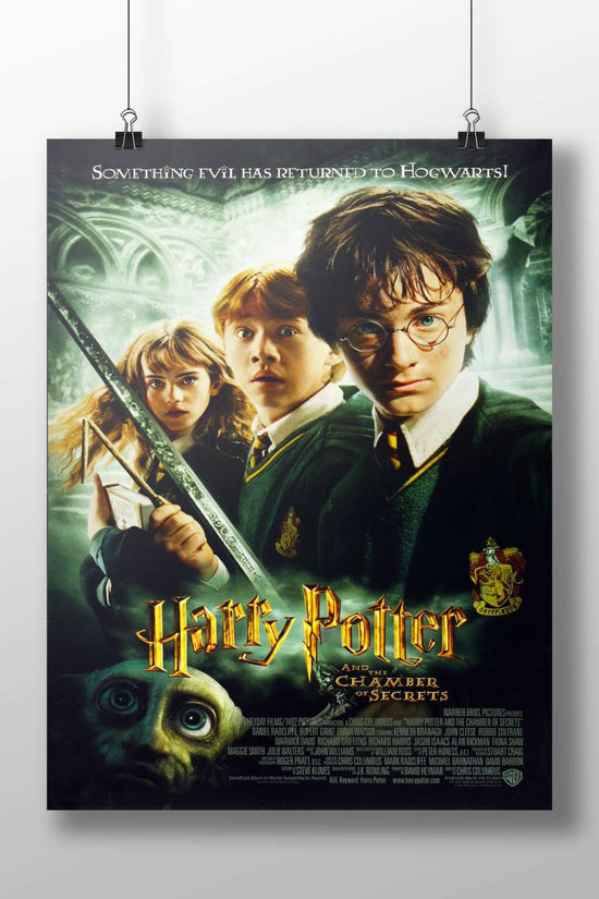 Harry Potter and the Chamber of Secrets (Harry Potter franchise) Main Subject: Harry Potter and the Chamber of Secrets