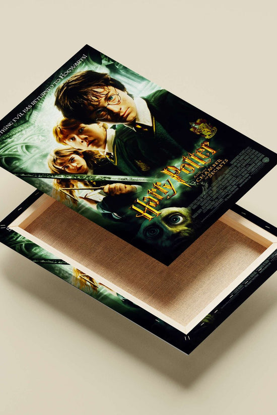 Harry Potter and the Chamber of Secrets (Harry Potter franchise) Main Subject: Harry Potter and the Chamber of Secrets