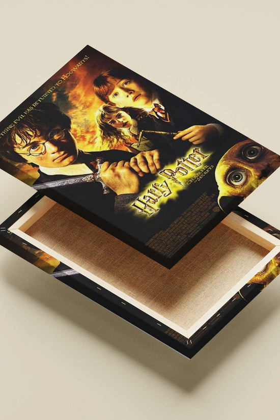 Harry Potter and the Chamber of Secrets (film) Main Subject: Harry Potter and the Chamber of Secrets (film) Canvas wall art