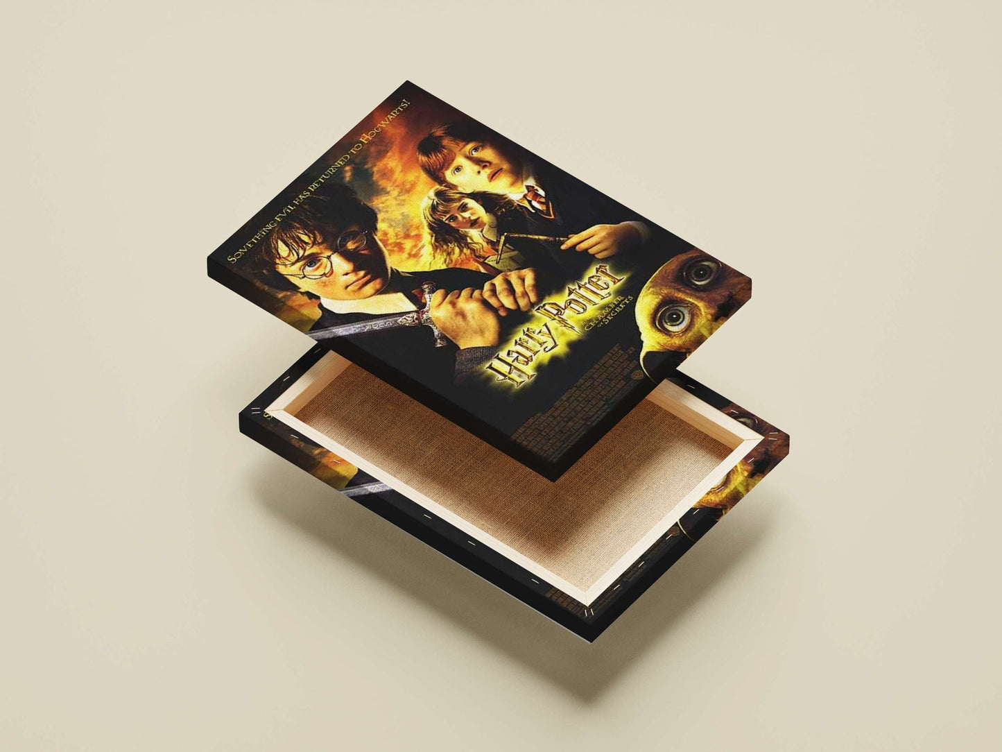 Harry Potter and the Chamber of Secrets (film) Main Subject: Harry Potter and the Chamber of Secrets (film) Canvas wall art