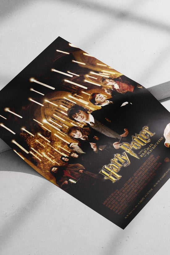 Harry Potter and the Chamber of Secrets Main Subject: Harry Potter and the Chamber of Secrets Matte poster print — Anime