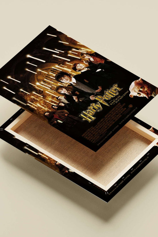 Harry Potter and the Chamber of Secrets Main Subject: Harry Potter and the Chamber of Secrets Canvas wall art — Anime wall