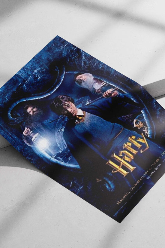 Harry Potter (Harry Potter franchise) Main Subject: Harry Potter (Harry Potter franchise) Matte poster print — Superhero