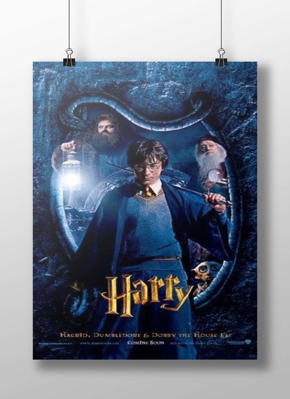 Harry Potter (Harry Potter franchise) Main Subject: Harry Potter (Harry Potter franchise) Matte BoizzBoard rigid print —