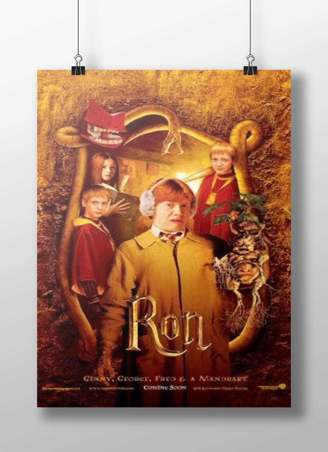 Harry Potter franchise Main Subject: Harry Potter franchise Matte BoizzBoard rigid print — Bollywood wall art India |