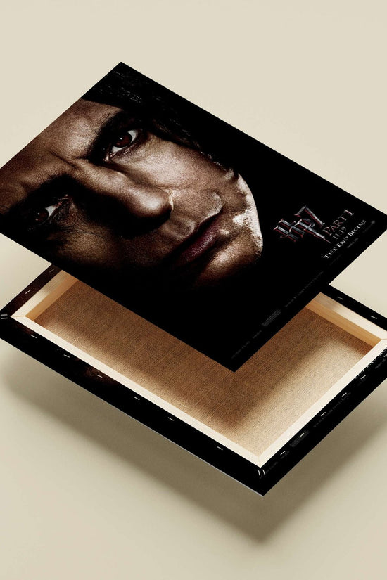 Lord Voldemort from the Harry Potter franchise Main Subject: Lord Voldemort from the Harry Potter franchise Canvas wall art