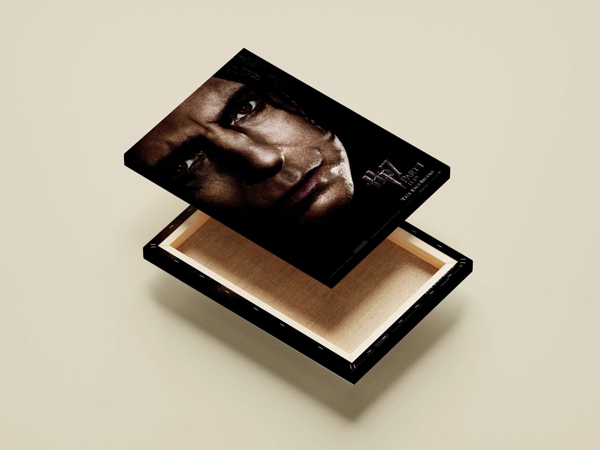 Lord Voldemort from the Harry Potter franchise Main Subject: Lord Voldemort from the Harry Potter franchise Canvas wall art