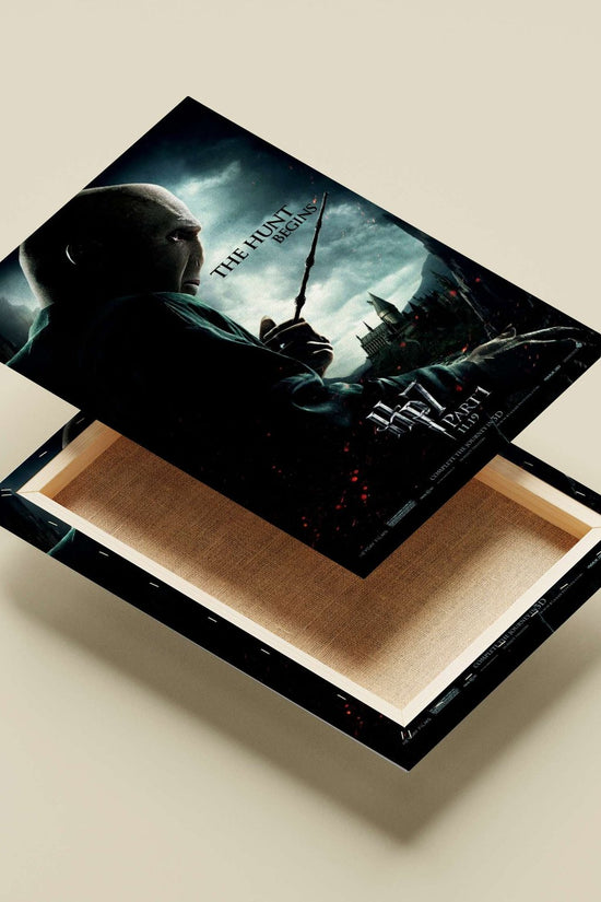 Voldemort from the Harry Potter franchise Main Subject: Voldemort from the Harry Potter franchise Canvas wall art —
