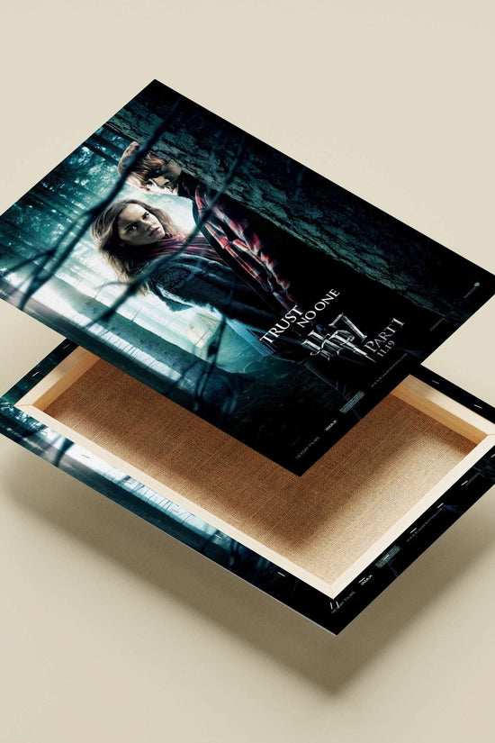 Harry Potter franchise (featuring Hermione Granger and Ron Weasley in "Harry Potter and the Deathly Hallows Part 1" poster)