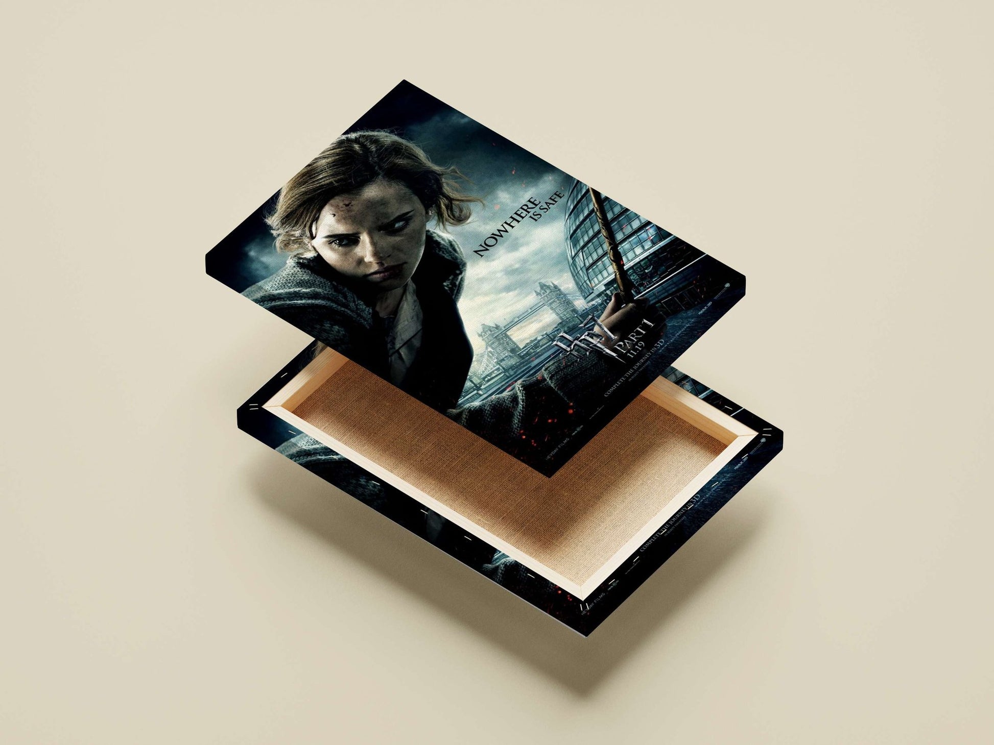 Hermione Granger from the Harry Potter franchise Main Subject: Hermione Granger from the Harry Potter franchise Canvas wall