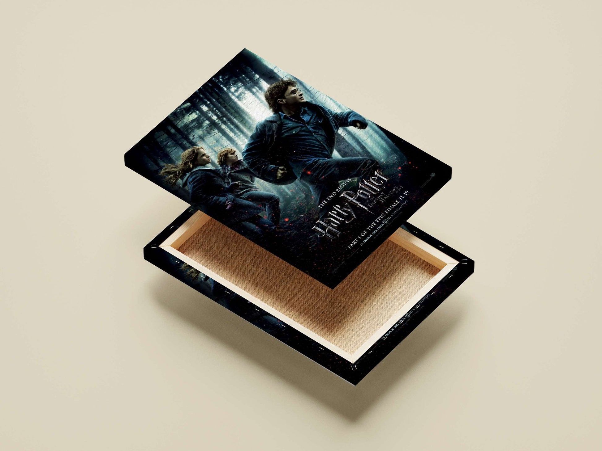 Harry Potter and the Deathly Hallows Part 1 Main Subject: Harry Potter and the Deathly Hallows Part 1 Canvas wall art —