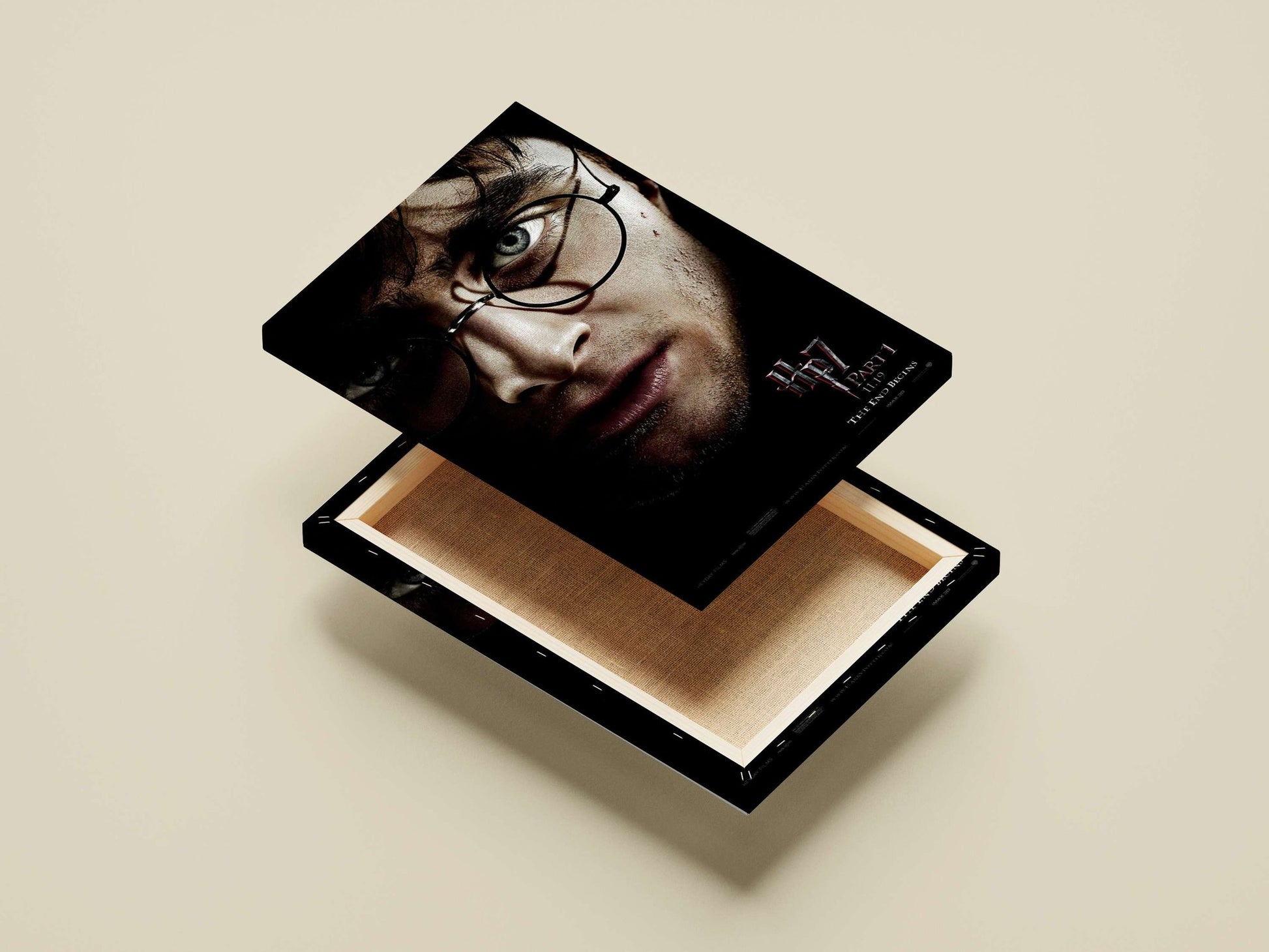 Harry Potter (from the Harry Potter franchise) Main Subject: Harry Potter (from the Harry Potter franchise) Canvas wall art
