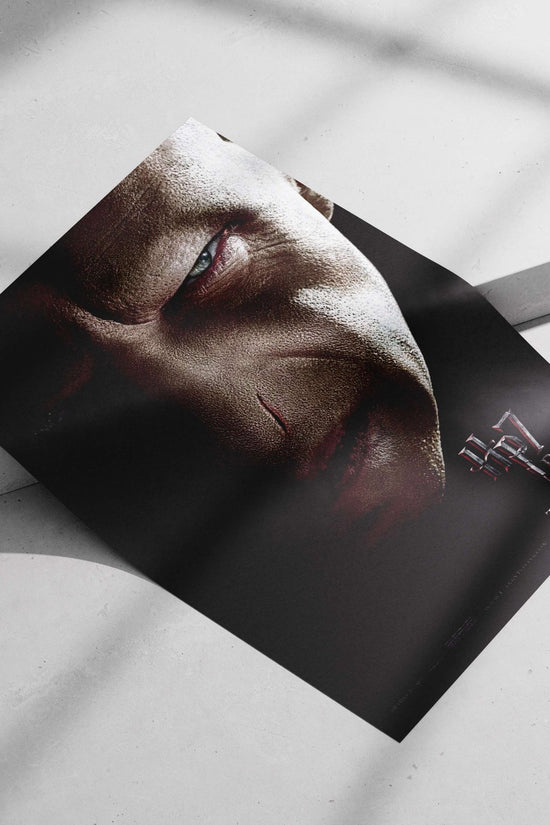 Lord Voldemort (Harry Potter franchise) Main Subject: Lord Voldemort (Harry Potter franchise) Matte poster print — Anime