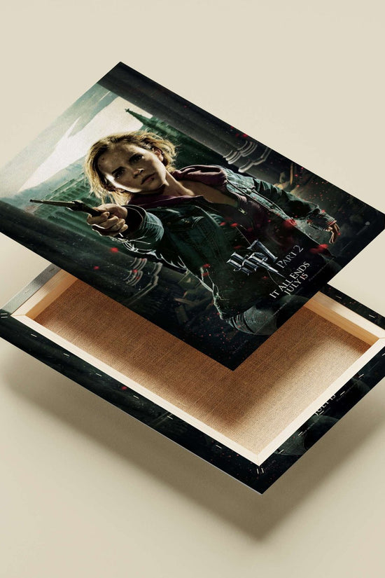 Hermione Granger (Harry Potter franchise) Main Subject: Hermione Granger (Harry Potter franchise) Canvas wall art —