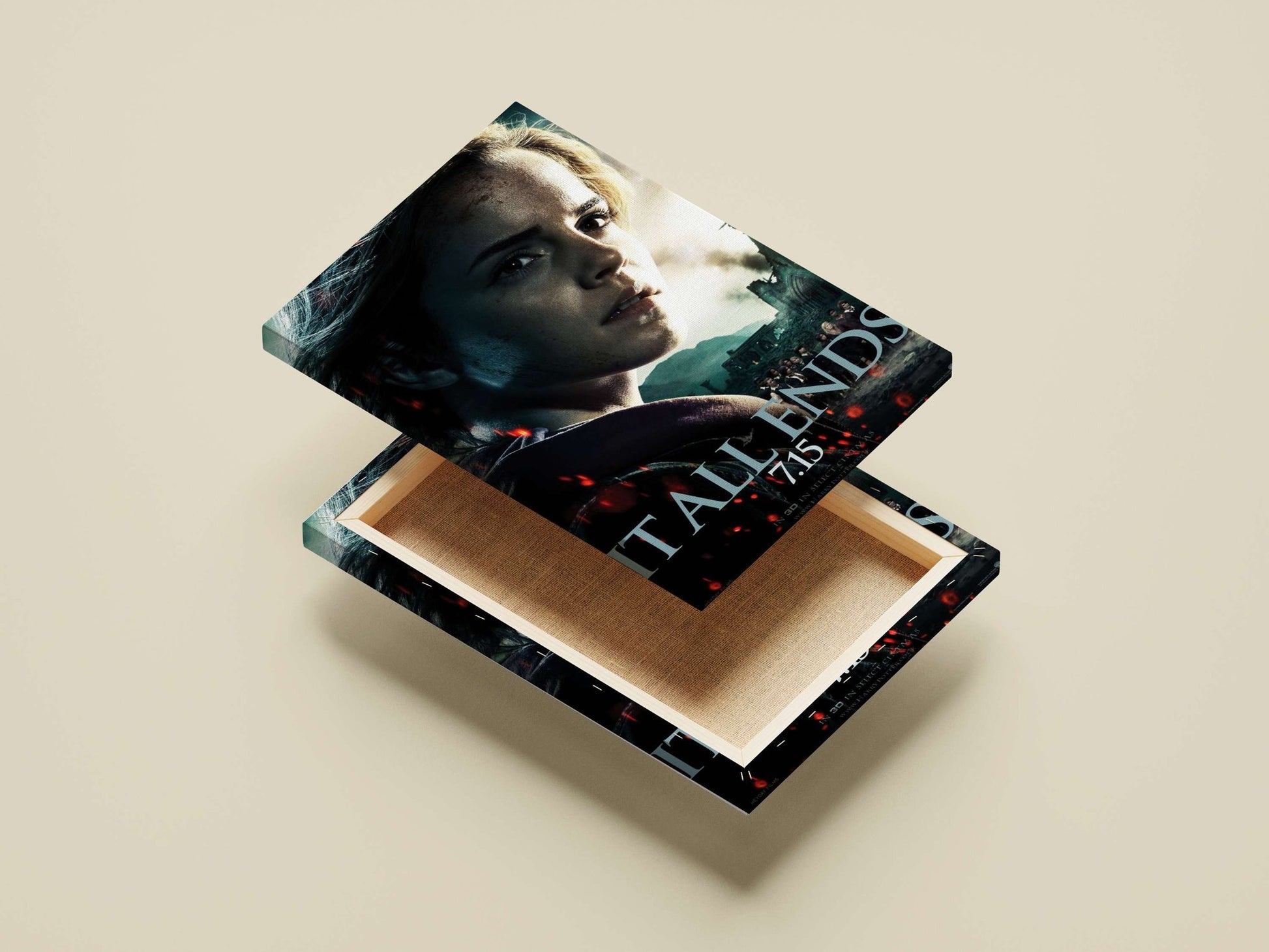 Hermione Granger (Harry Potter franchise) Main Subject: Hermione Granger (Harry Potter franchise) Canvas wall art —