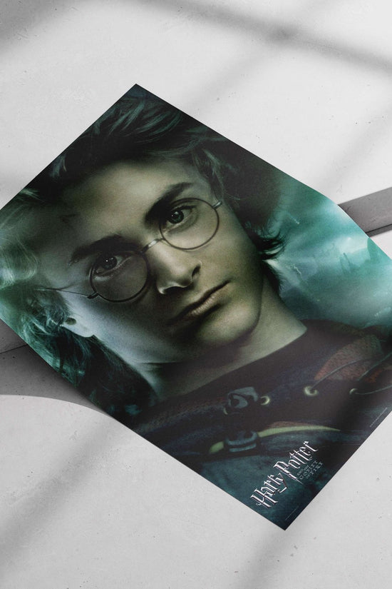 Harry Potter (from the Harry Potter franchise) Main Subject: Harry Potter (from the Harry Potter franchise) Matte poster