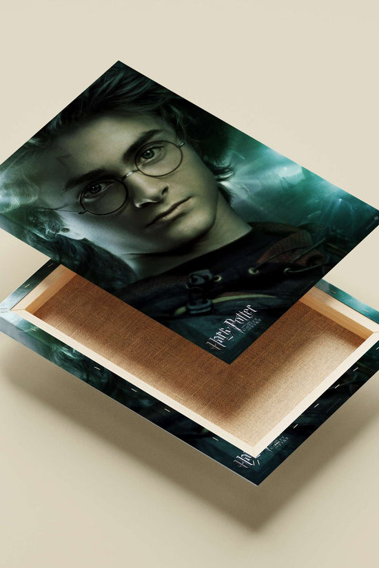 Harry Potter (from the Harry Potter franchise) Main Subject: Harry Potter (from the Harry Potter franchise) Canvas wall art