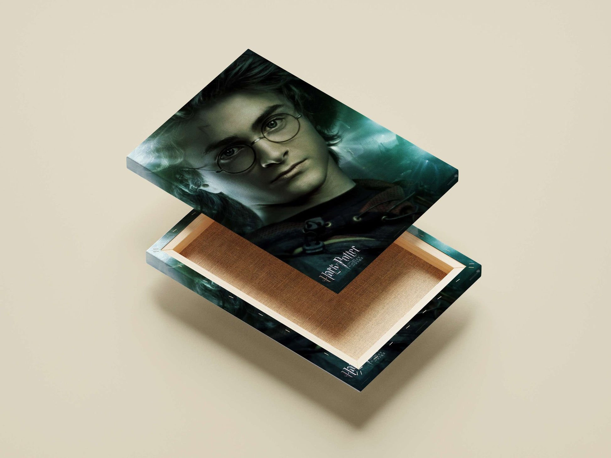 Harry Potter (from the Harry Potter franchise) Main Subject: Harry Potter (from the Harry Potter franchise) Canvas wall art