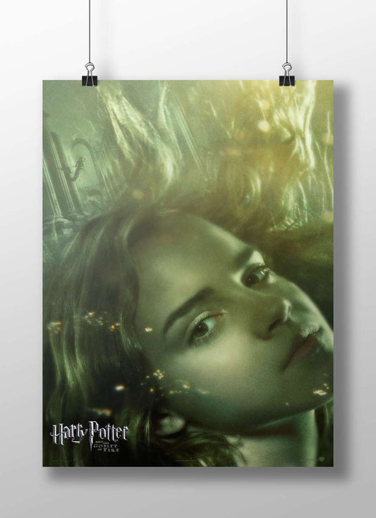 Hermione Granger from the Harry Potter franchise (specifically "Harry Potter and the Goblet of Fire"). Main Subject: