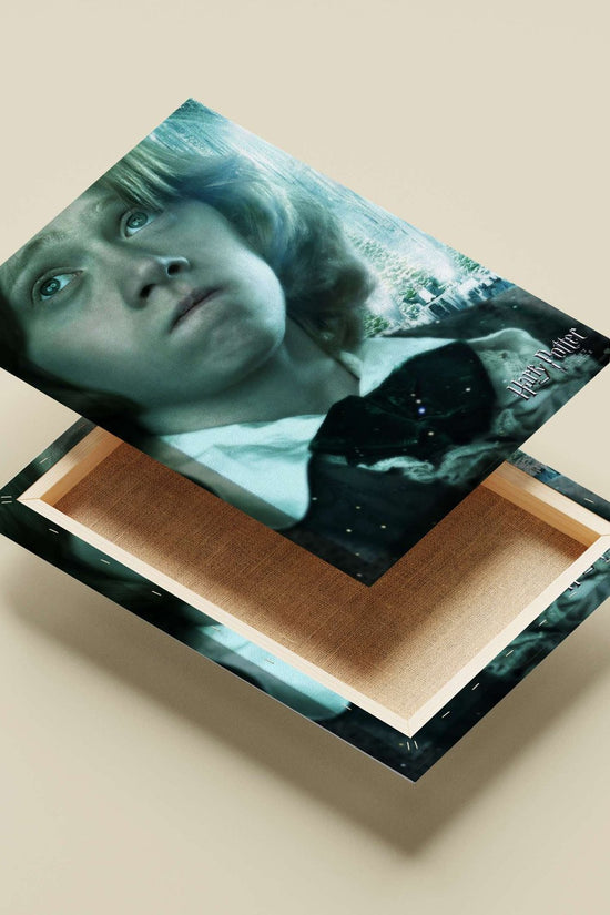 Hermione Granger from Harry Potter franchise Main Subject: Hermione Granger from Harry Potter franchise Canvas wall art —