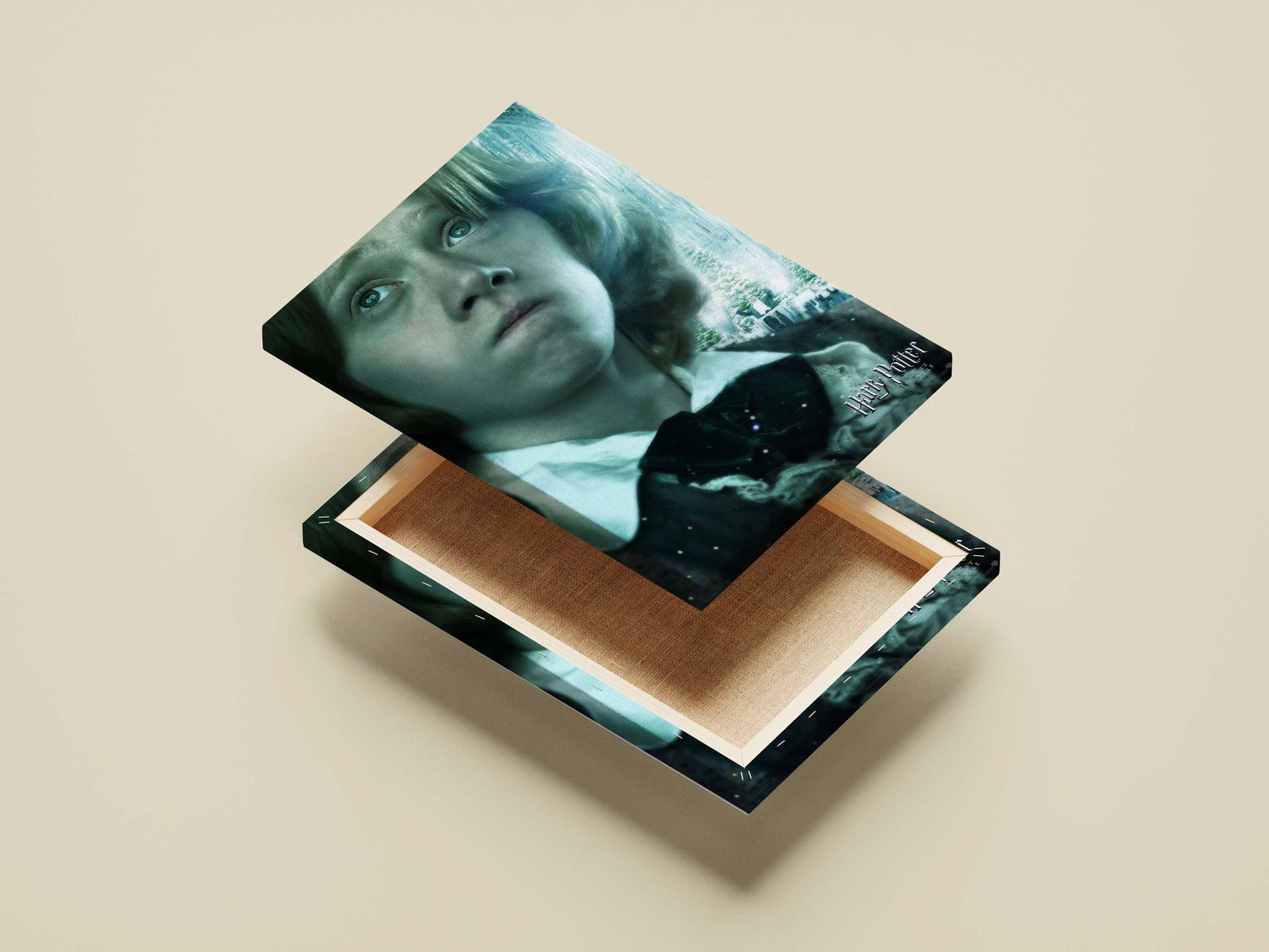 Hermione Granger from Harry Potter franchise Main Subject: Hermione Granger from Harry Potter franchise Canvas wall art —