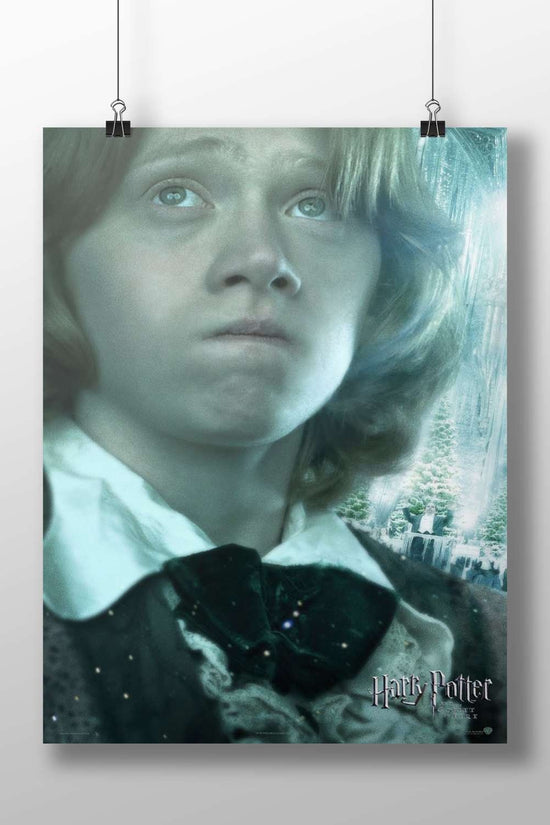 Hermione Granger from Harry Potter franchise Main Subject: Hermione Granger from Harry Potter franchise Matte BoizzBoard