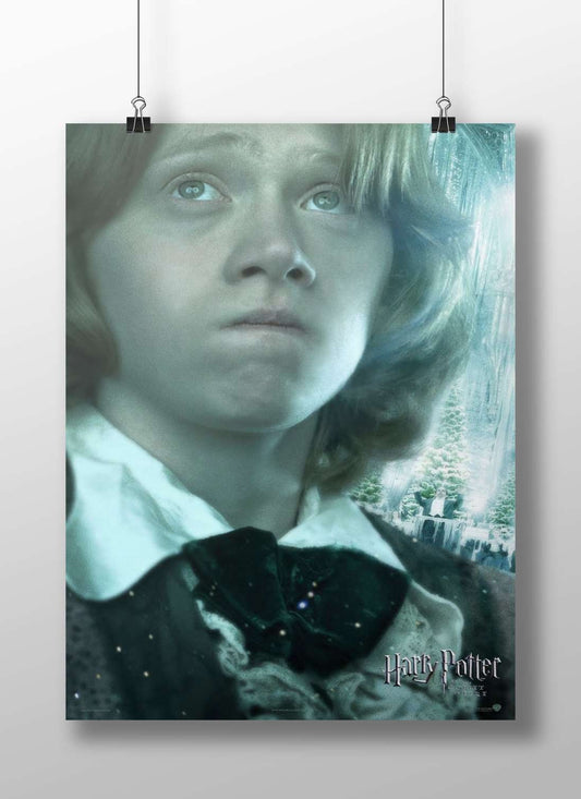 Hermione Granger from Harry Potter franchise Main Subject: Hermione Granger from Harry Potter franchise Matte BoizzBoard