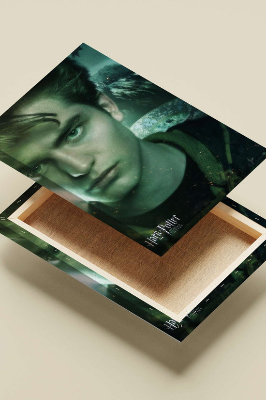 Harry Potter Main Subject: Harry Potter Canvas wall art — Superhero wall art India | PosterBoizz