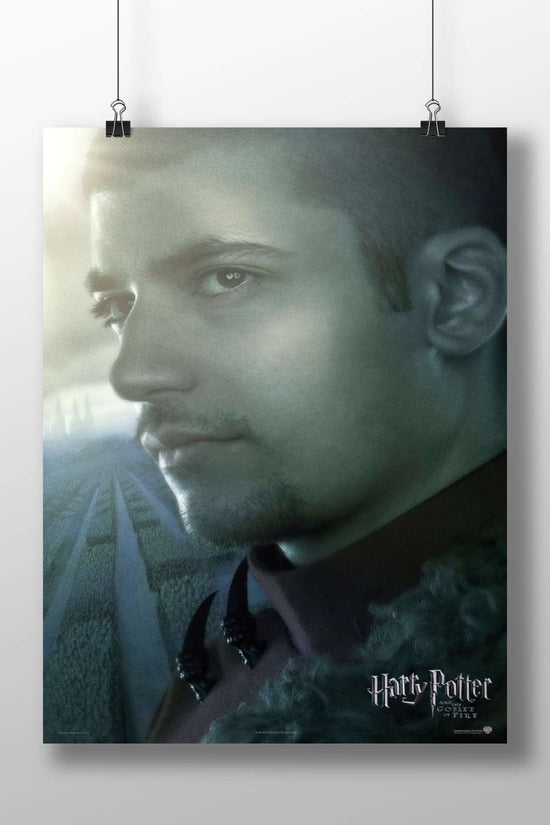 Draco Malfoy from the Harry Potter franchise Main Subject: Draco Malfoy from the Harry Potter franchise Matte BoizzBoard