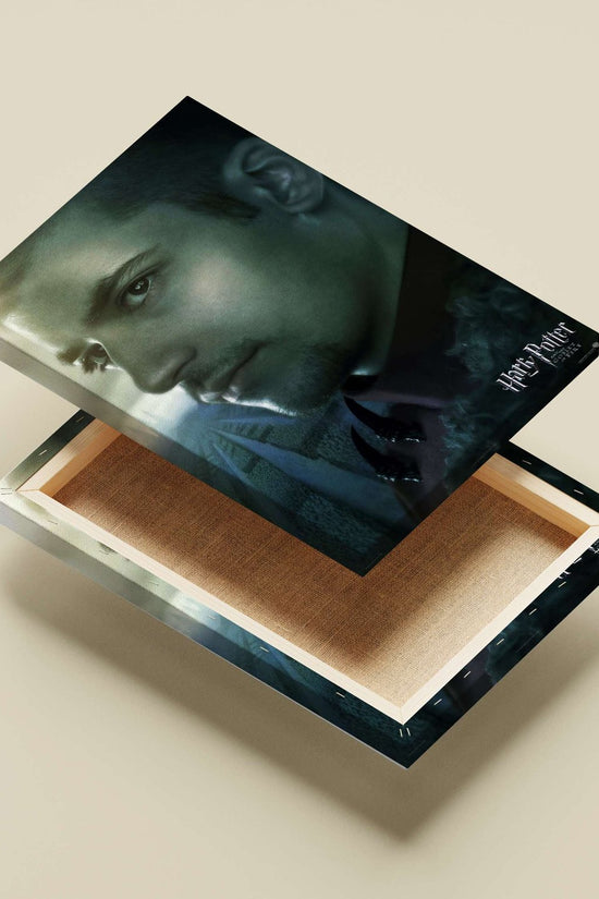 Draco Malfoy from the Harry Potter franchise Main Subject: Draco Malfoy from the Harry Potter franchise Canvas wall art —
