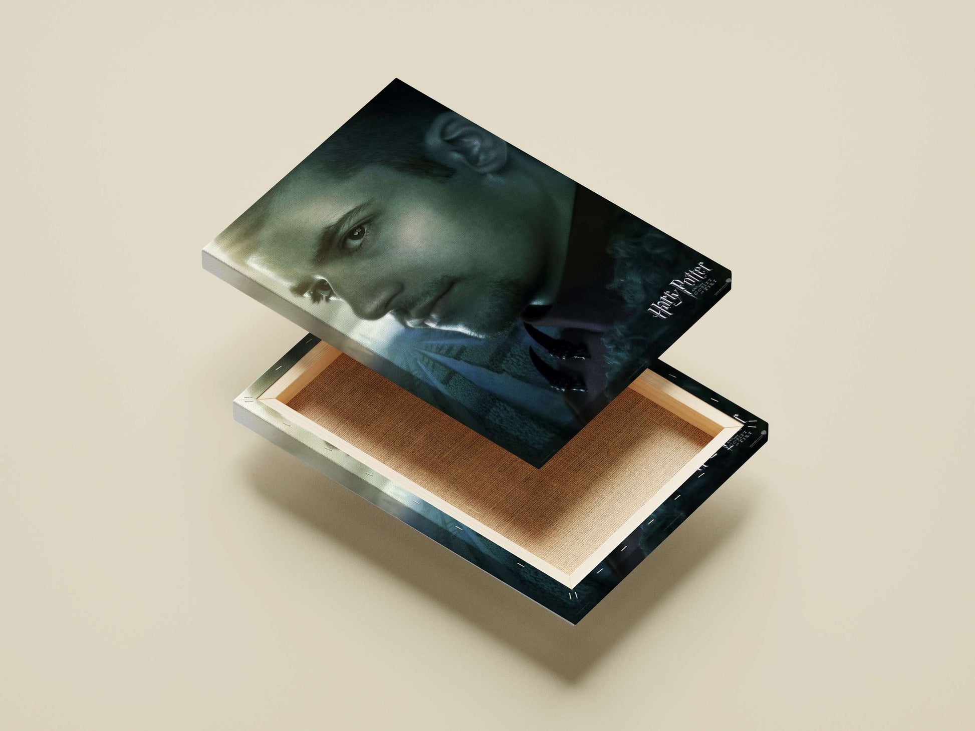 Draco Malfoy from the Harry Potter franchise Main Subject: Draco Malfoy from the Harry Potter franchise Canvas wall art —