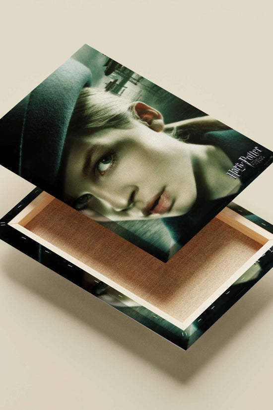 Hermione Granger (from the Harry Potter franchise) Main Subject: Hermione Granger (from the Harry Potter franchise) Canvas