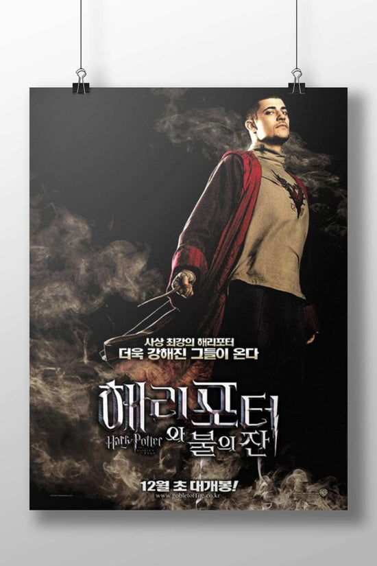 Harry Potter (from the Harry Potter franchise) Main Subject: Harry Potter (from the Harry Potter franchise) Matte BoizzBoard