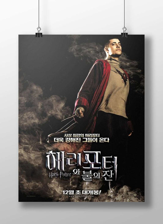 Harry Potter (from the Harry Potter franchise) Main Subject: Harry Potter (from the Harry Potter franchise) Matte BoizzBoard