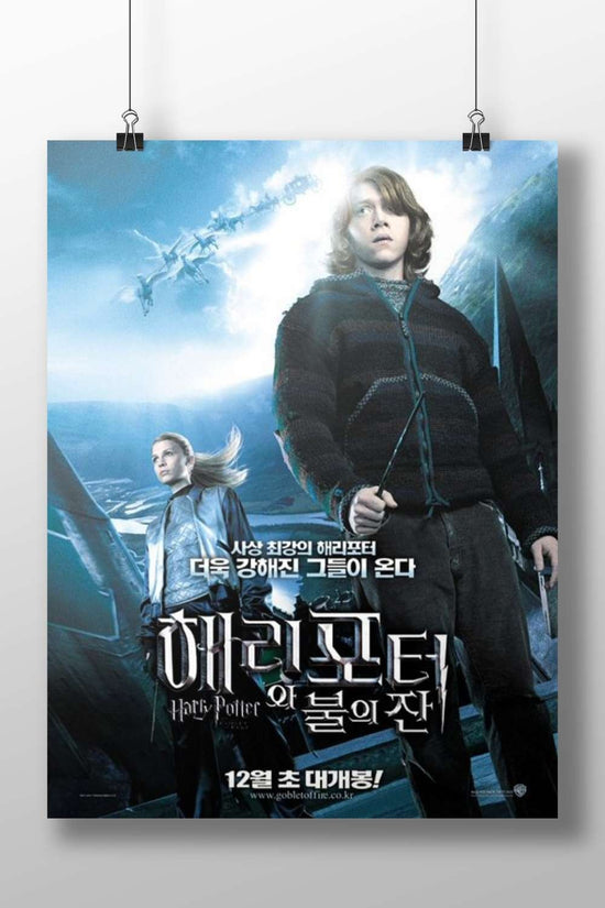 Harry Potter and Hermione Granger (Harry Potter franchise) Main Subject: Harry Potter and Hermione Granger (Harry Potter
