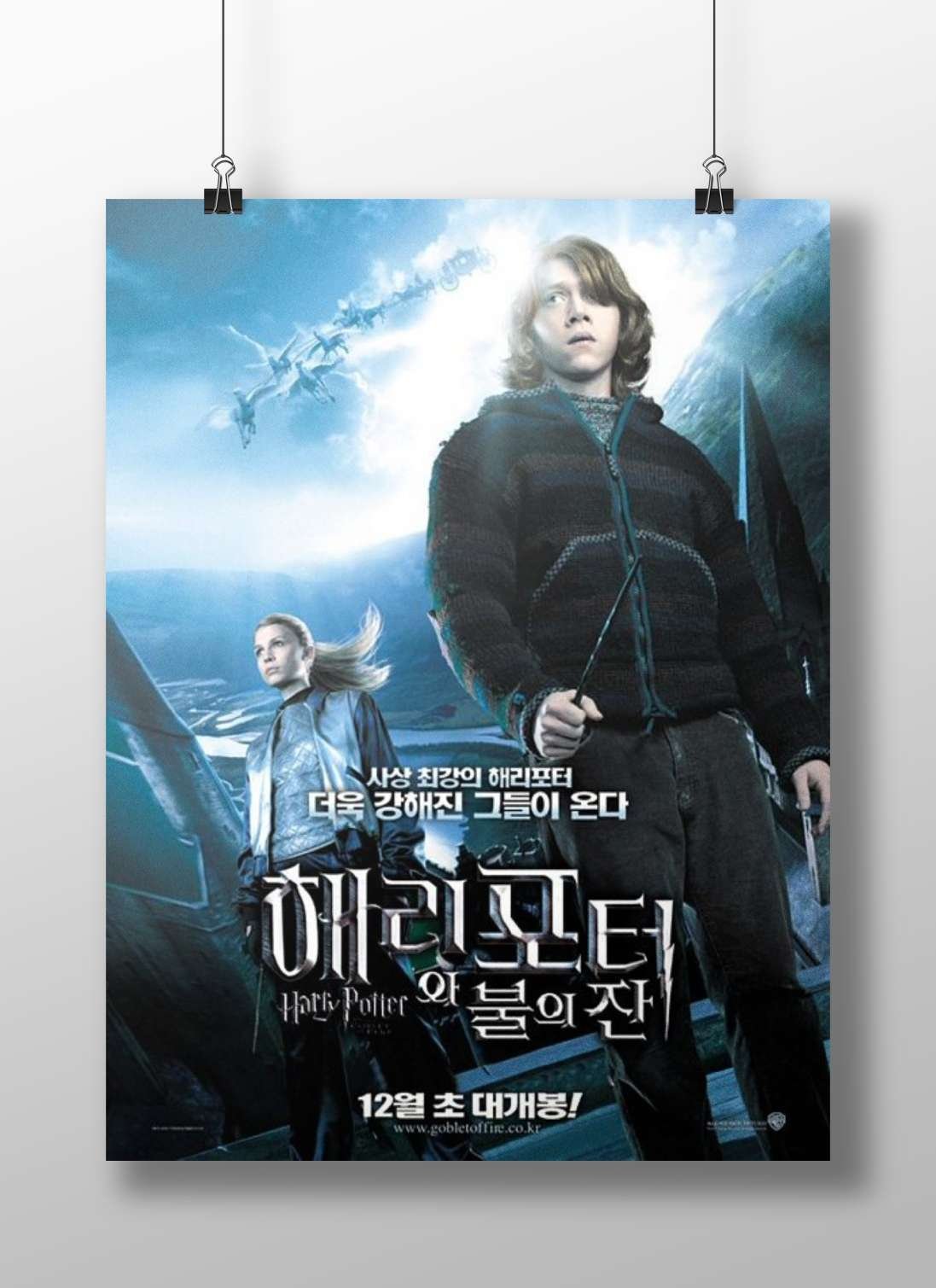 Harry Potter and Hermione Granger (Harry Potter franchise) Main Subject: Harry Potter and Hermione Granger (Harry Potter