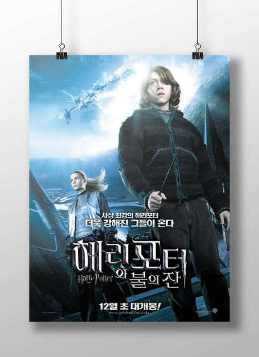 Harry Potter and Hermione Granger (Harry Potter franchise) Main Subject: Harry Potter and Hermione Granger (Harry Potter