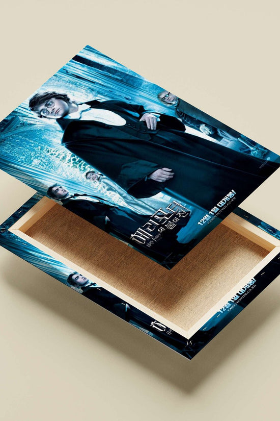 Harry Potter from the Harry Potter franchise Main Subject: Harry Potter from the Harry Potter franchise Canvas wall art —