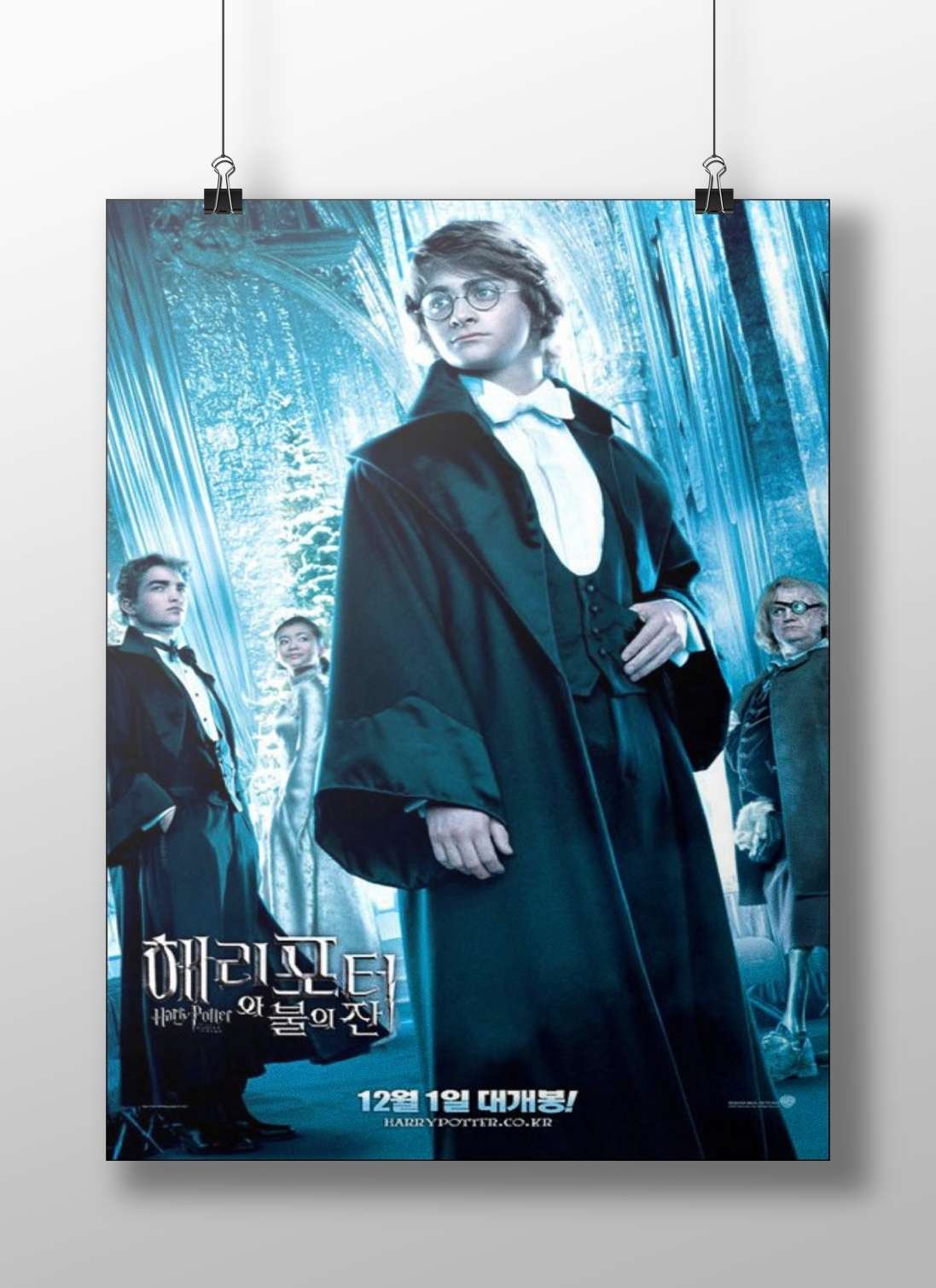 Harry Potter from the Harry Potter franchise Main Subject: Harry Potter from the Harry Potter franchise Matte BoizzBoard
