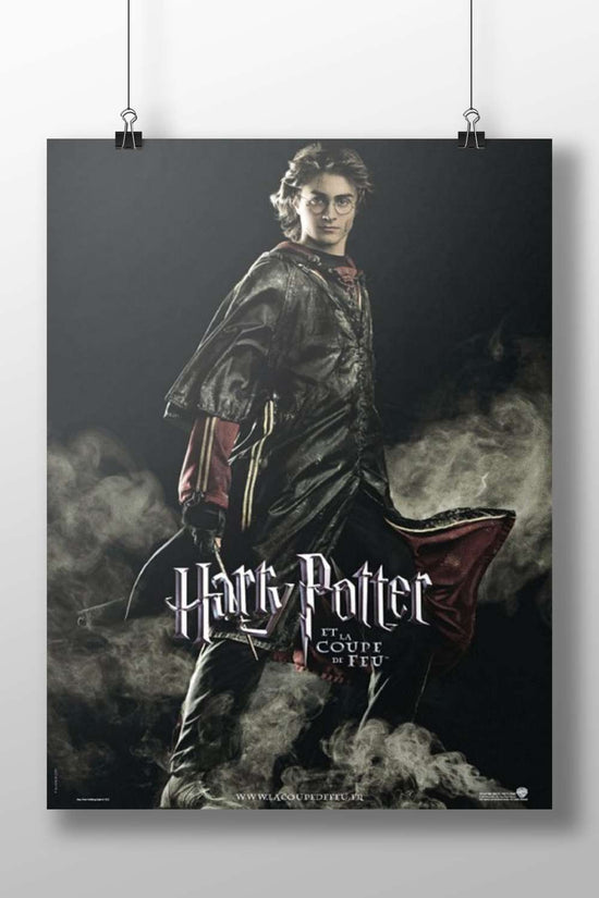 Harry Potter (character) from the Harry Potter franchise Main Subject: Harry Potter (character) from the Harry Potter