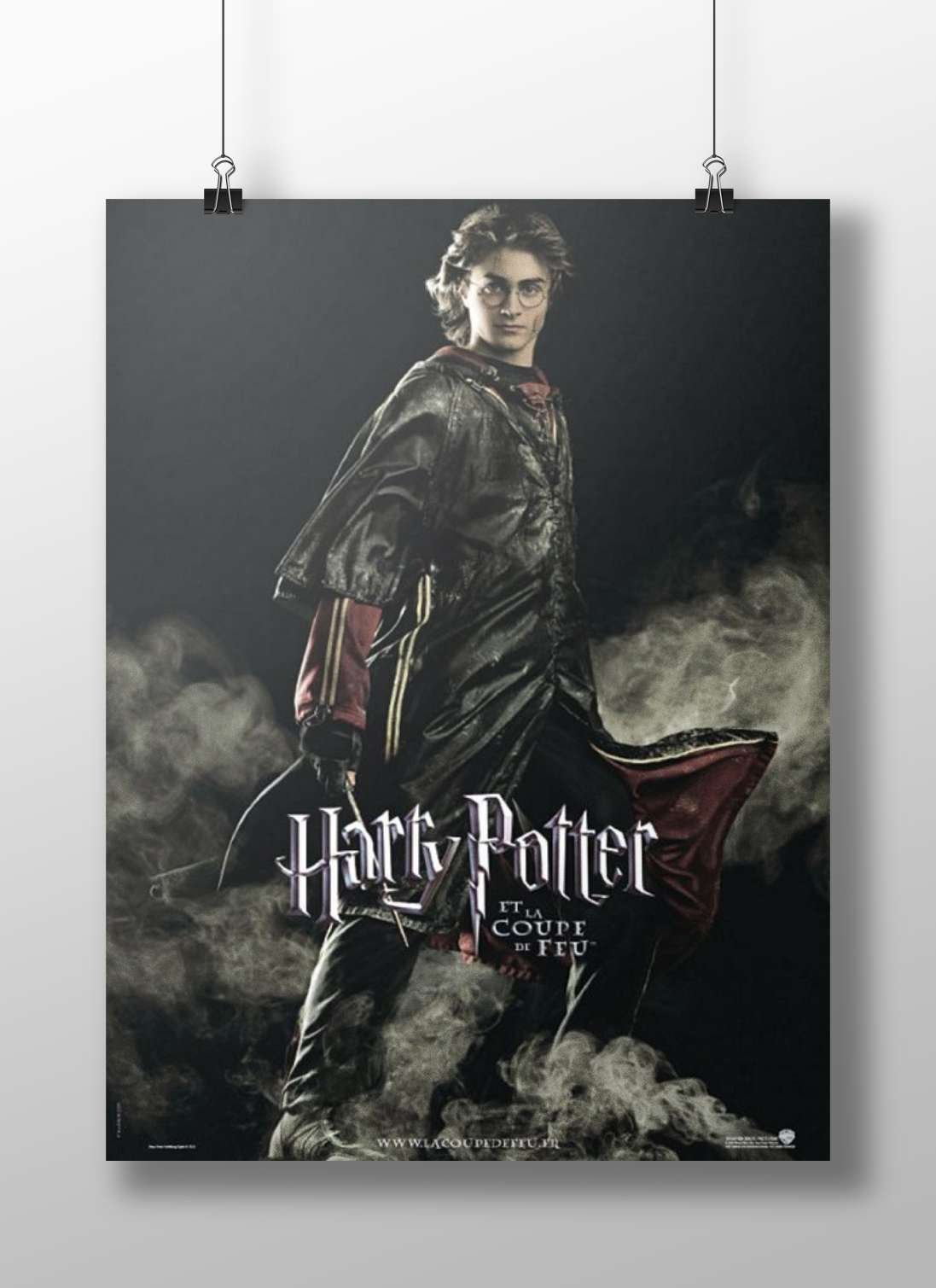 Harry Potter (character) from the Harry Potter franchise Main Subject: Harry Potter (character) from the Harry Potter