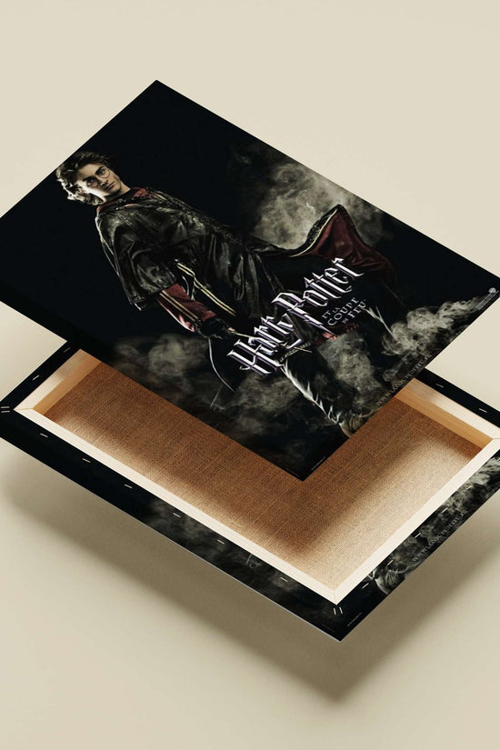 Harry Potter (character) from the Harry Potter franchise Main Subject: Harry Potter (character) from the Harry Potter