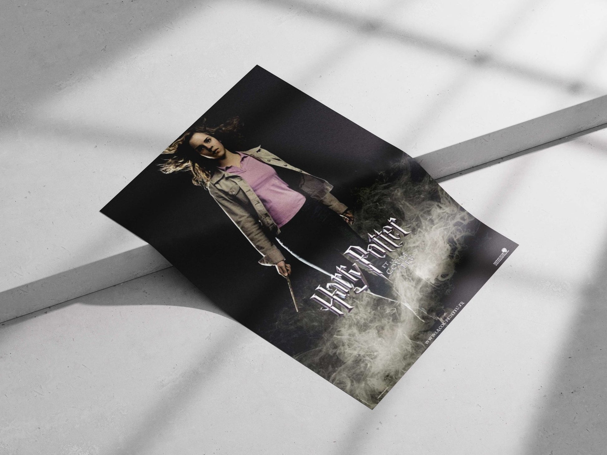Hermione Granger (Harry Potter franchise) Main Subject: Hermione Granger (Harry Potter franchise) Matte poster print —