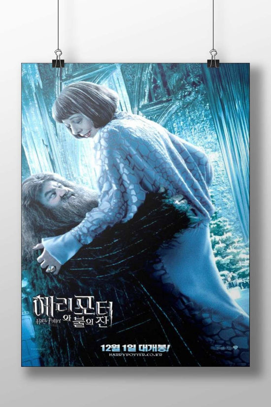 Harry Potter franchise characters (Hermione Granger and Albus Dumbledore) Main Subject: Harry Potter franchise characters