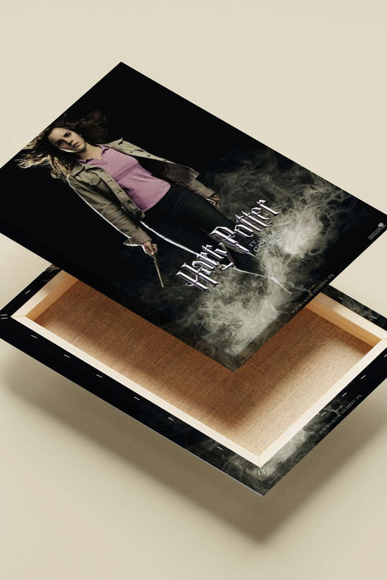 Hermione Granger (Harry Potter franchise) Main Subject: Hermione Granger (Harry Potter franchise) Canvas wall art —
